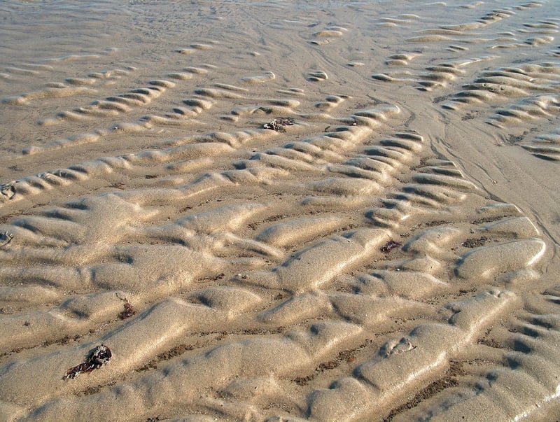 Unexplained Phenomena